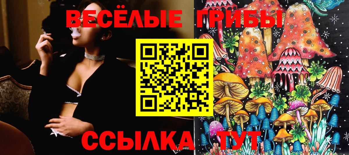 Аксай  Псилоцибиновые грибы мицелий  Вход с VPN 